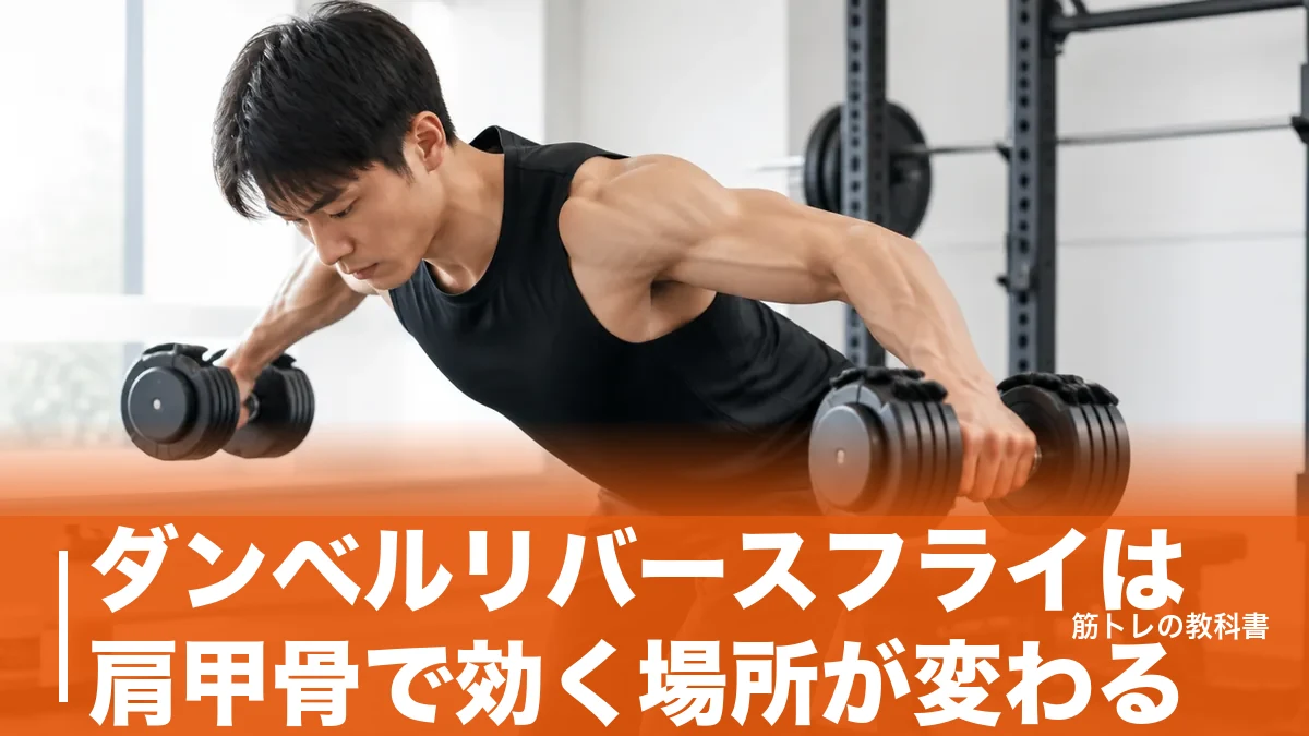 ダンベルリバースフライは肩甲骨で効く場所が変わる｜三角筋後部に効かせる手順と重量の目安のアイキャッチ画像