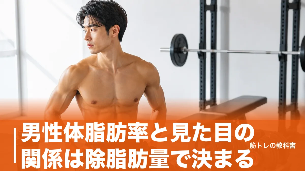 男性体脂肪率と見た目の関係は除脂肪量で決まる|25%から10%まで数字別の目安のアイキャッチ画像