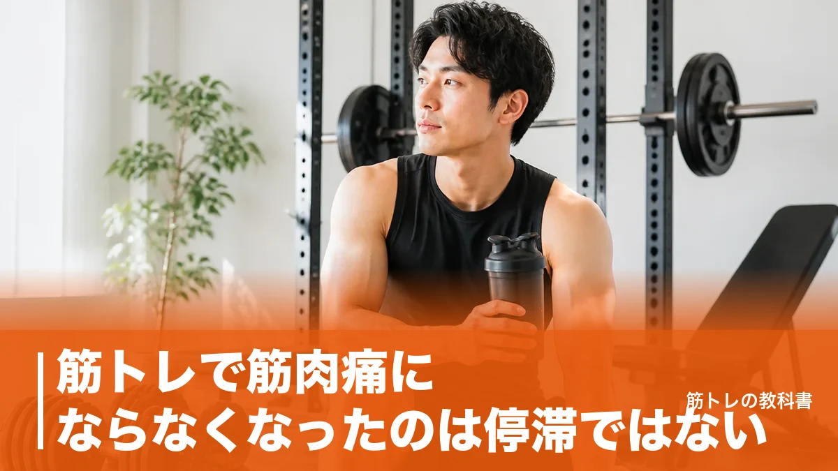 筋トレで筋肉痛にならなくなったのは停滞ではない|6か月続く体の適応と成果の測り方のアイキャッチ画像