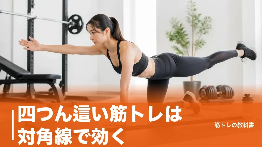 四つん這い筋トレは対角線で効く｜体幹とお尻を鍛える4種目と週2～3日の組み方のアイキャッチ画像