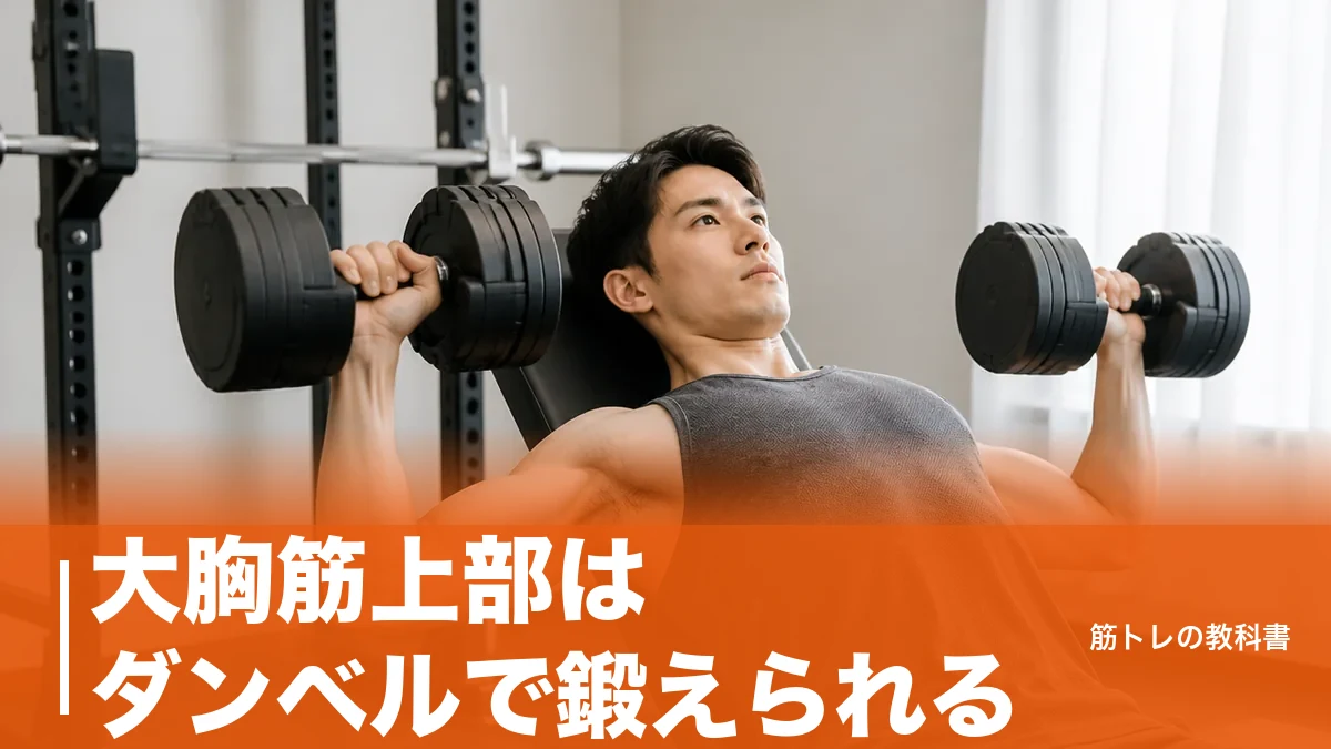 大胸筋上部はダンベルで鍛えられる？ベンチ30度が基準になる理由と効かせる4種目のアイキャッチ画像